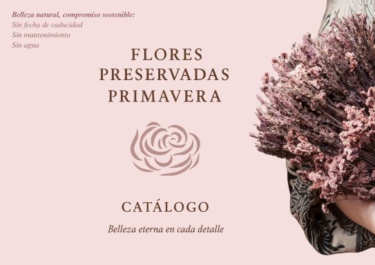 Catalogo Flores Preservadas